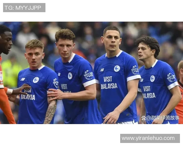 卡迪夫城与水晶宫对决前瞻分析及比赛结果预测